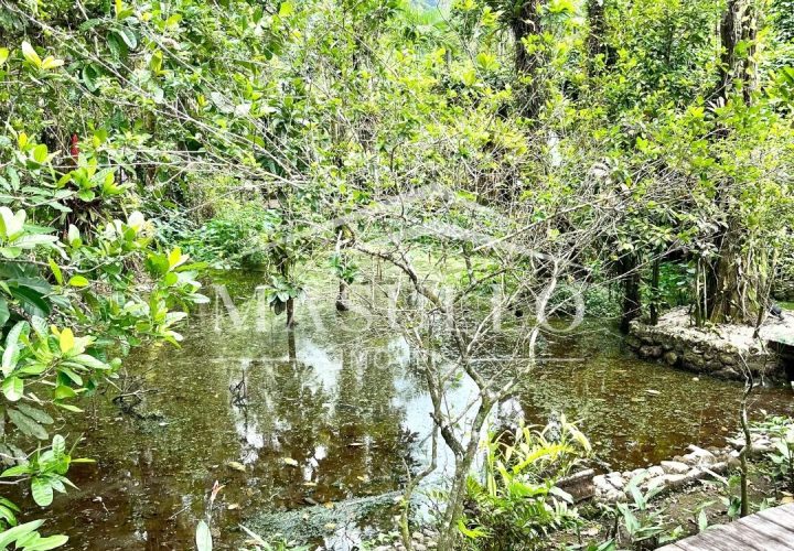 Casa a venda condomínio Anoman na praia de maresias